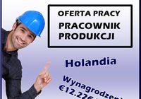 Pracownik Produkcji HOLANDIA... OGłOSZENIA Bazarok.pl